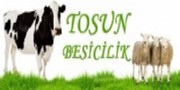 TOSUN BESİCİLİK - Firmabak.com 