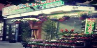 Ada Çiçekçilik - Firmabak.com 