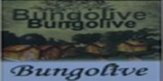 Bungolive - Firmabak.com 